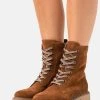 Anna Field LEATHER - Botines Con Cordones - Brown, Mujer